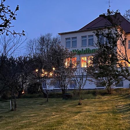 Waldhaus Pulsnitz Hotell Eksteriør bilde